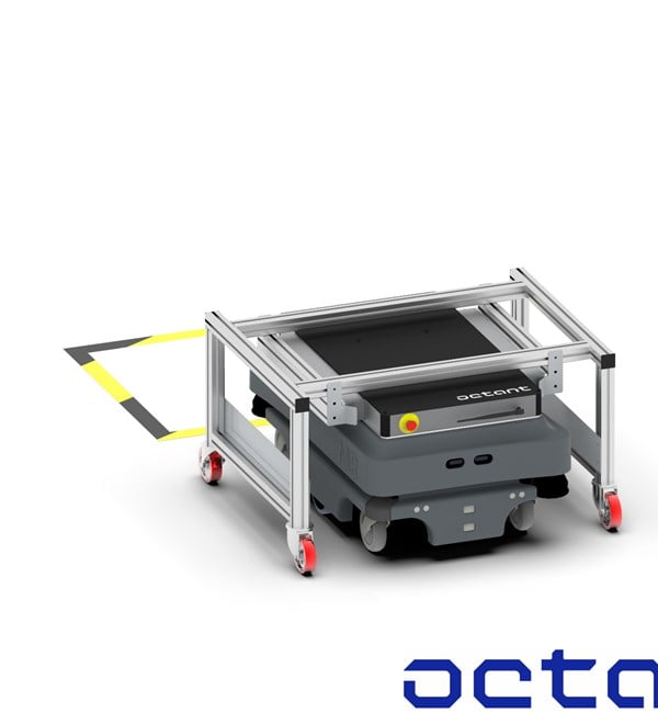 3_octant_dorsal_post_pickup