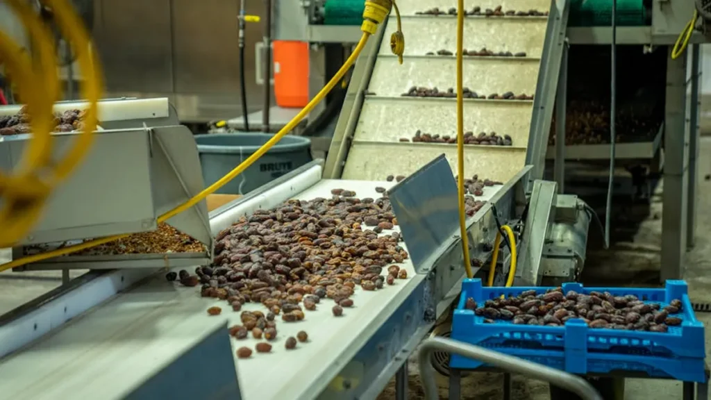 Picking & Sorting Automation​ Robotics - Robot Center