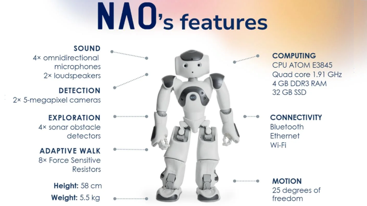 NAO Robot_06